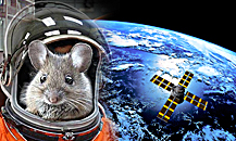 "Animals in Space" lecture 