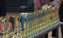 Kudo tournament "Lion Cup-2016"