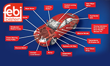 FEBI in portfolio of ASU